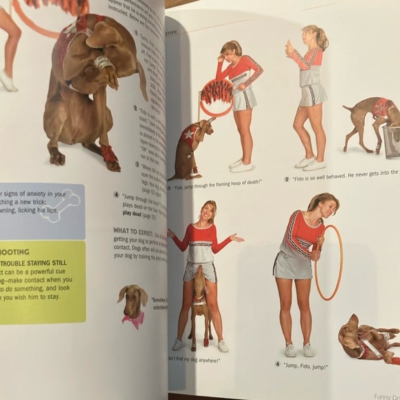 101 Dog Tricks Book: step by step activities to engage, challenge and bond - Picture 15 of 16
